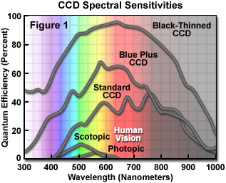 CCD Spectral sensitivities